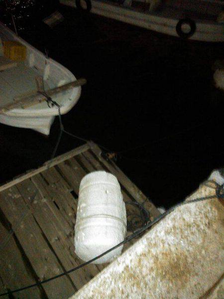 ありがとうメバル